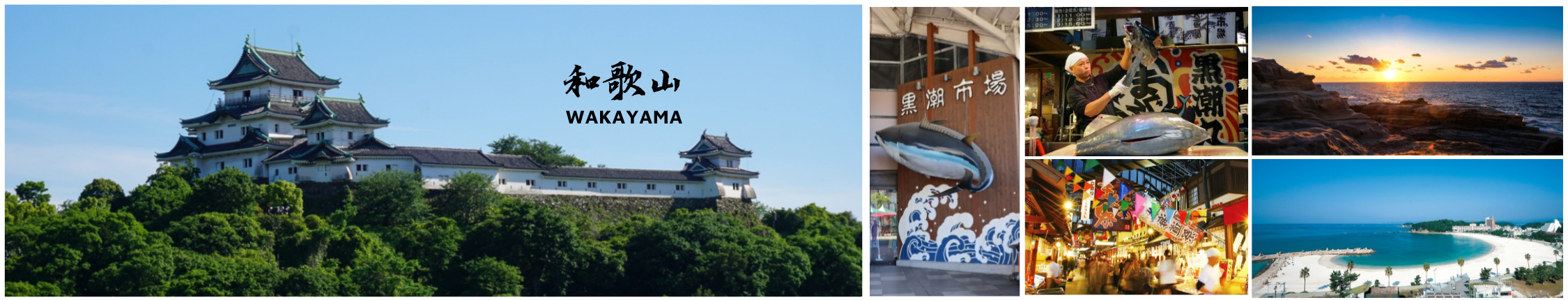 和歌山 主题图.jpg